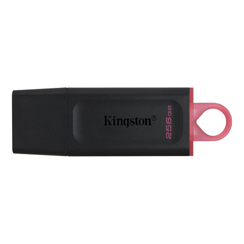 Kingston Unidad flash USB 256GB Rosa DTX/256GB