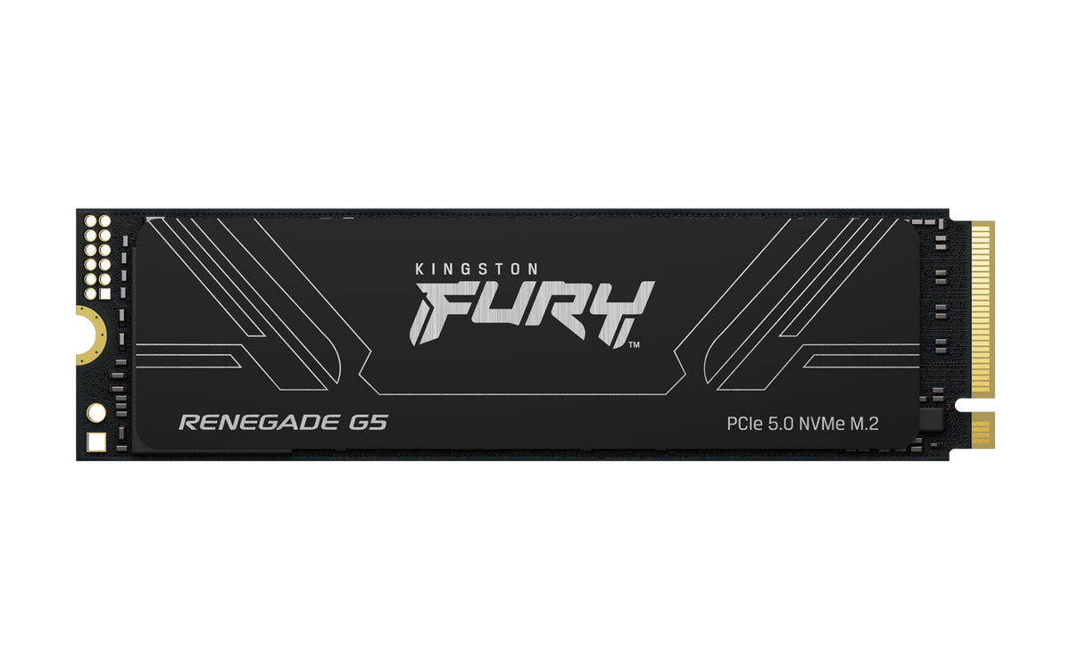 Kingston FURY 1.024TB